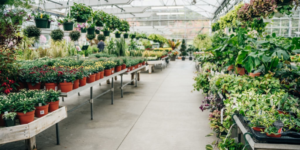 tuin winkels voor bloemen en planten